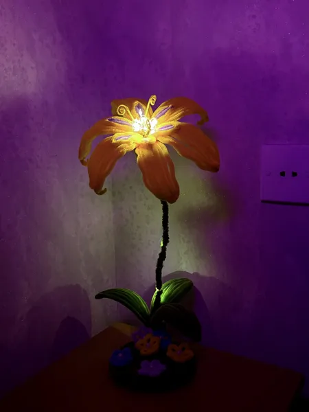 Şönil Lampa🌷