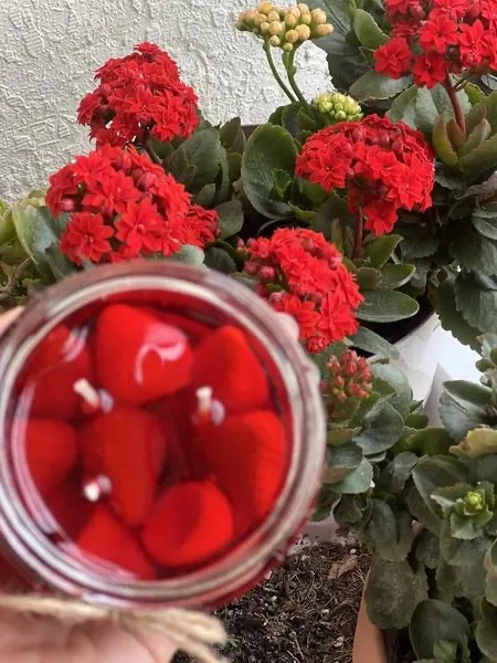 Strawberry candle 🍓 2