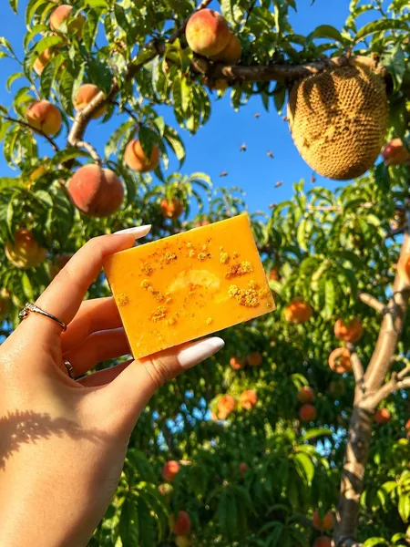 Ballı&Şaftalı🍑🍯
