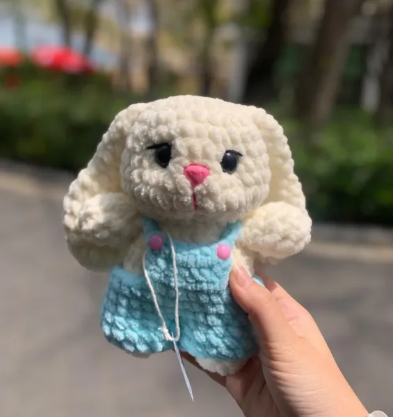 Boni dovşan🐰