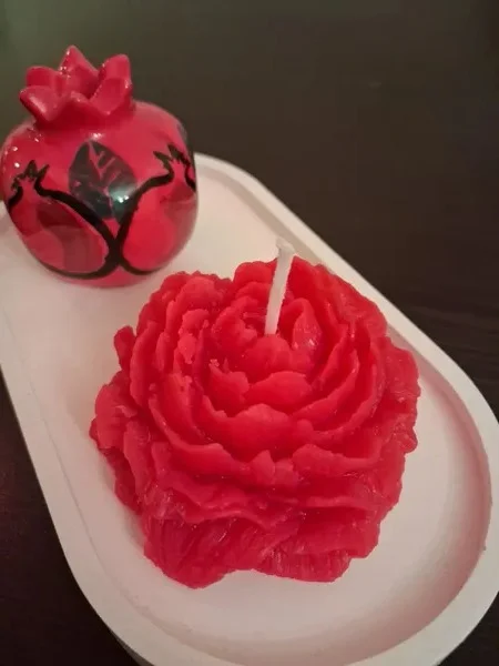 Gül şamı 🌹