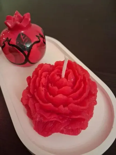 Gül şamı 🌹 1