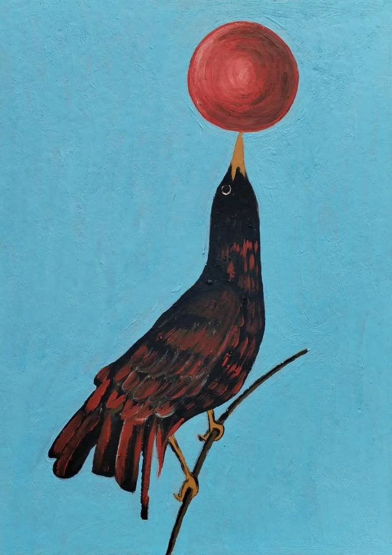 "Quş şar ilə"