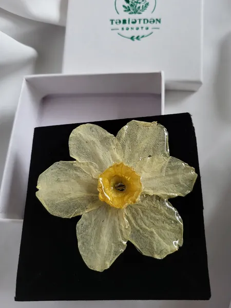 Nərgiz gülündən broş 2