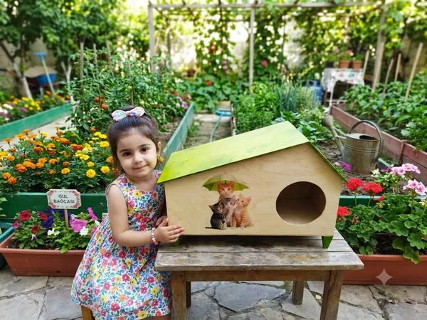 Pişik yuvası  2