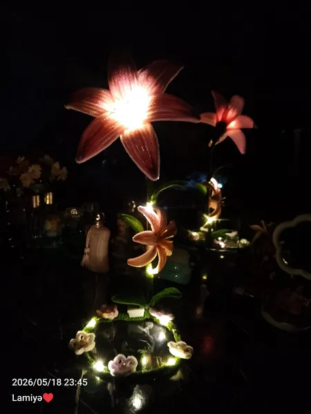 Şönil lamp pinterest vibe: 3