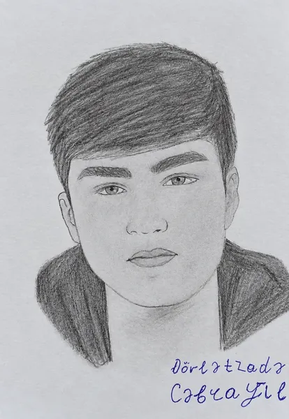  portret rəsm 2