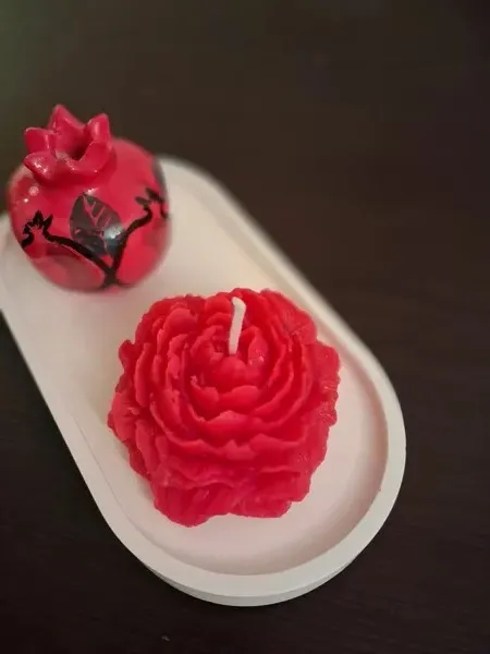 Gül şamı 🌹 2