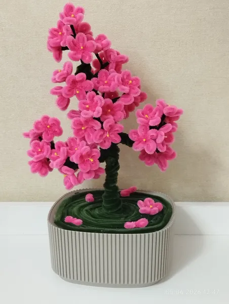 Sakura agaci  2