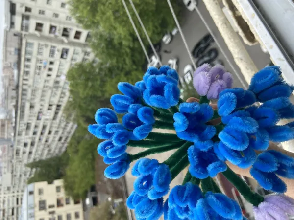 Şönildən gül dibçəkləri 3