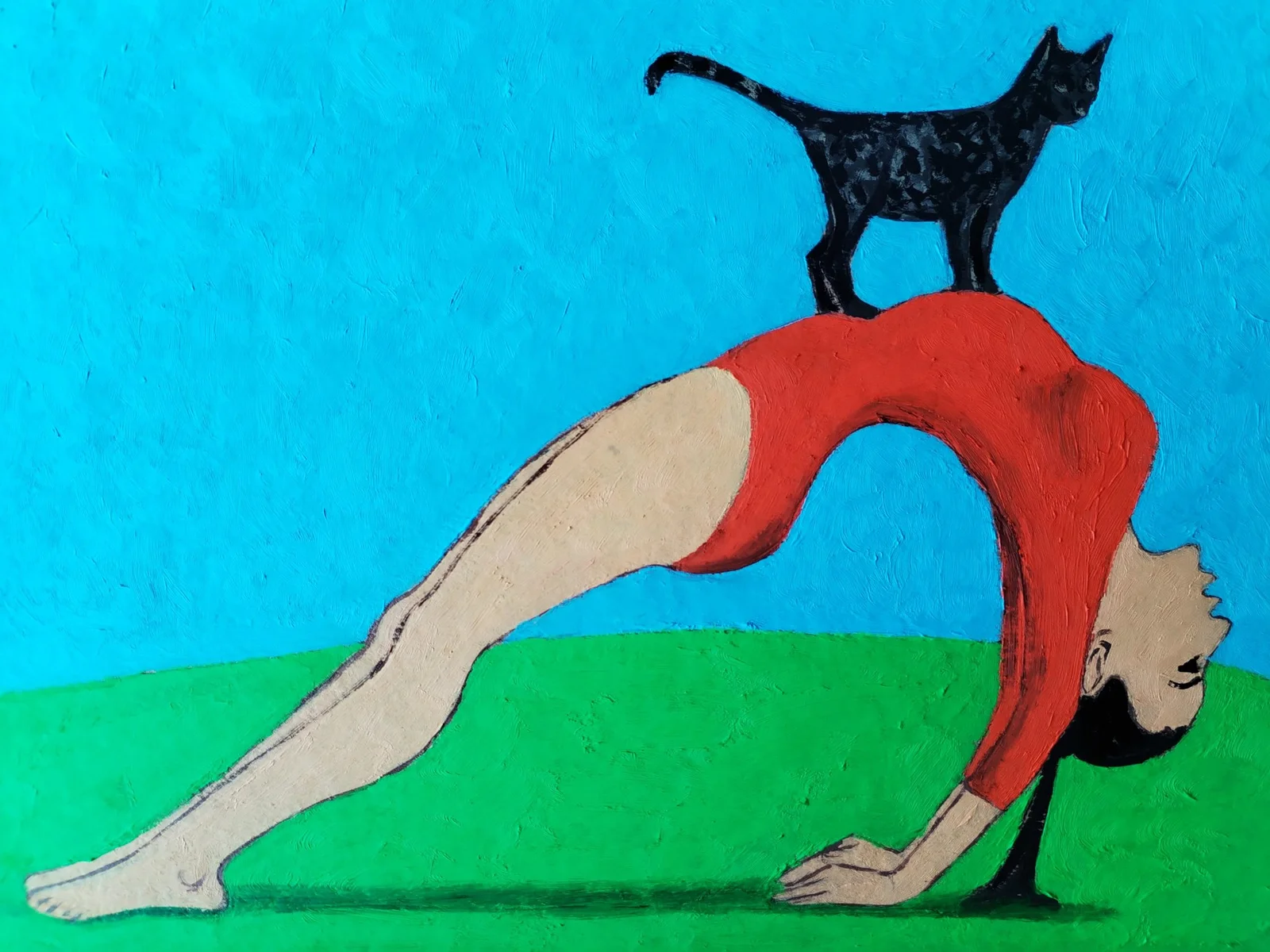 "Gimnast pişik ilə"