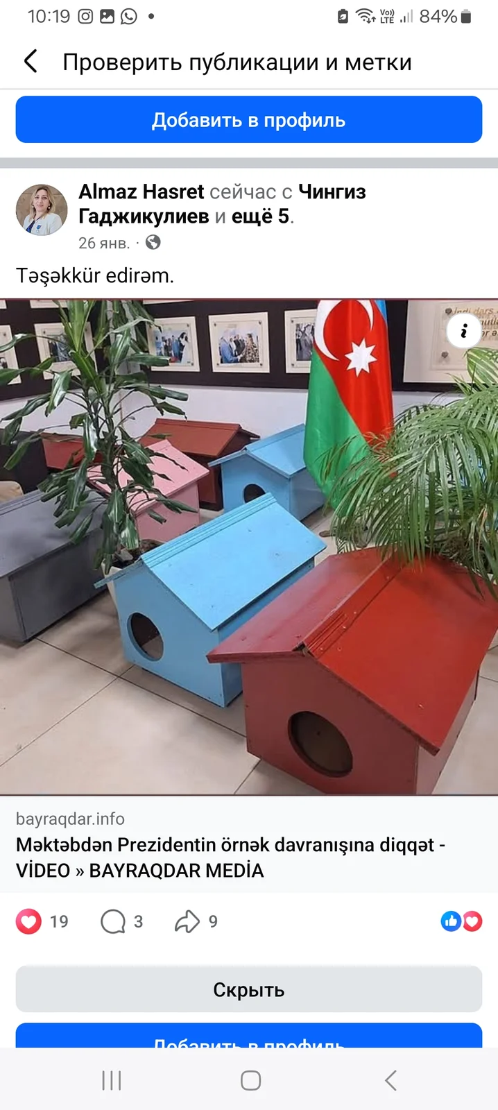 İt pişik yuvaları