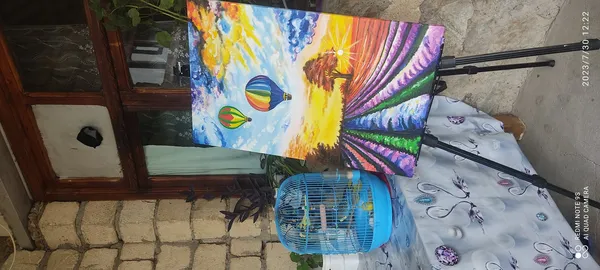 Yağlı boya,sulu boya və şlərim