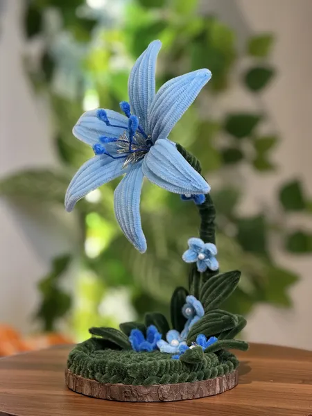 Lily işıqlı şönildən