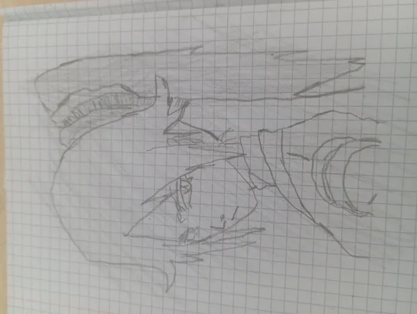  portret rəsm 4