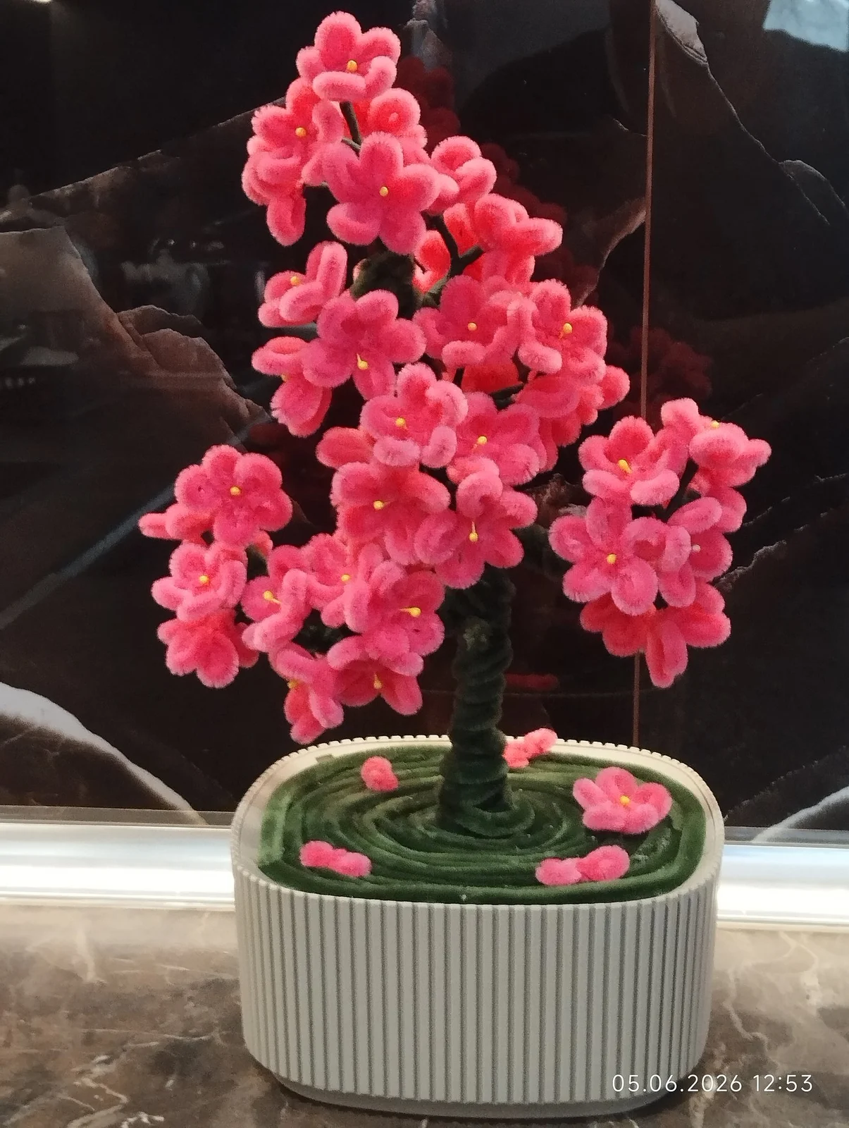 Sakura agaci 