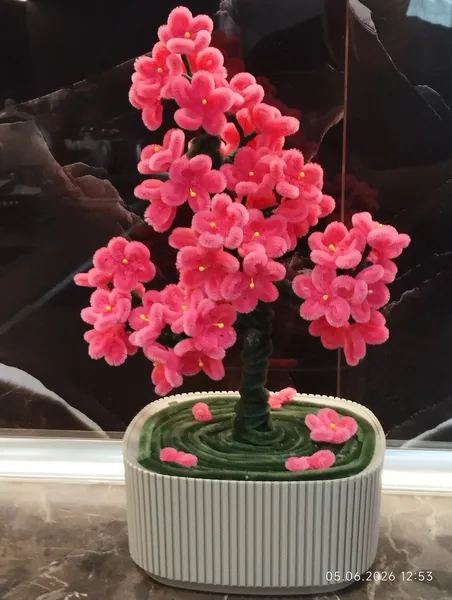 Sakura agaci  1